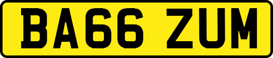 BA66ZUM