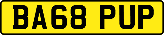 BA68PUP