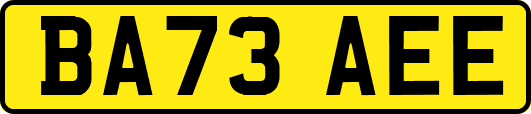 BA73AEE