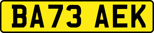 BA73AEK