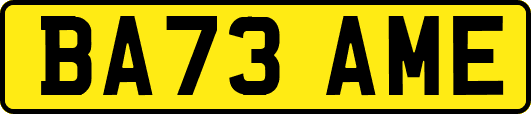 BA73AME