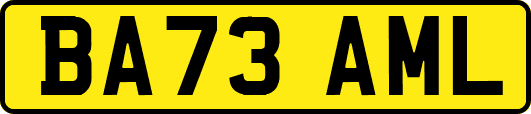 BA73AML
