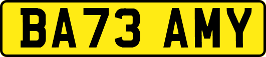 BA73AMY
