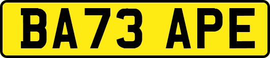 BA73APE