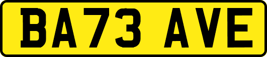 BA73AVE