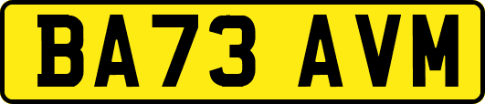 BA73AVM