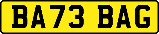 BA73BAG