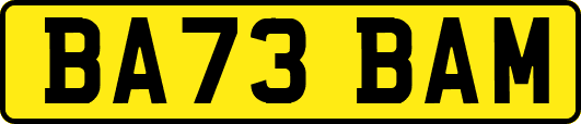 BA73BAM