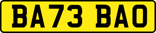 BA73BAO