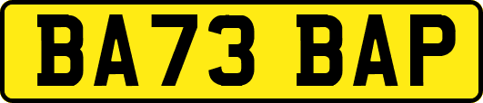 BA73BAP
