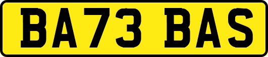 BA73BAS
