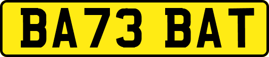 BA73BAT