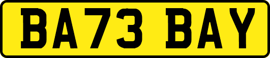 BA73BAY