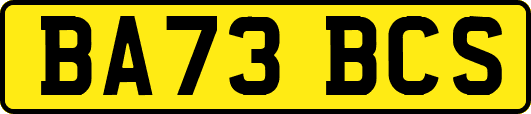 BA73BCS