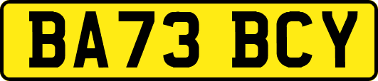 BA73BCY