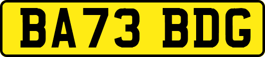 BA73BDG