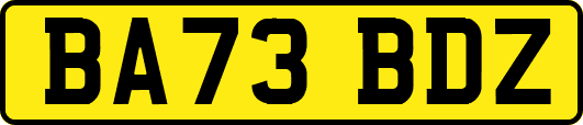 BA73BDZ