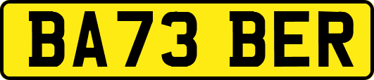 BA73BER