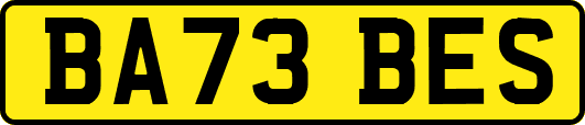 BA73BES