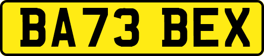 BA73BEX