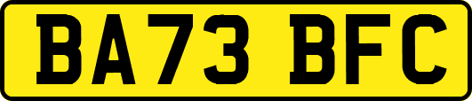 BA73BFC