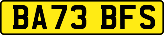 BA73BFS