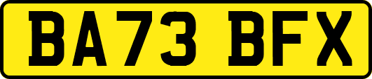 BA73BFX
