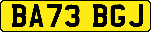 BA73BGJ