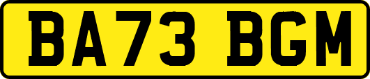 BA73BGM
