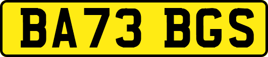 BA73BGS