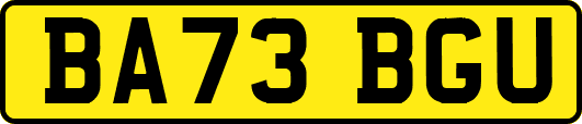 BA73BGU