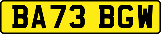 BA73BGW