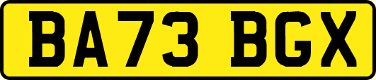 BA73BGX