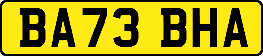 BA73BHA