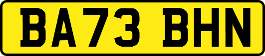 BA73BHN