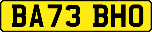 BA73BHO