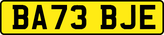 BA73BJE