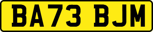 BA73BJM