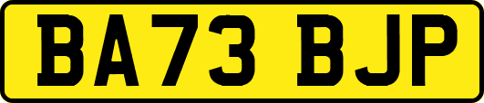 BA73BJP