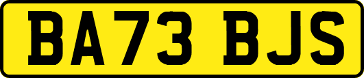 BA73BJS
