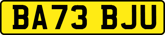 BA73BJU
