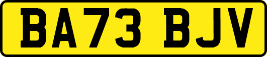 BA73BJV