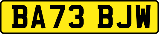 BA73BJW