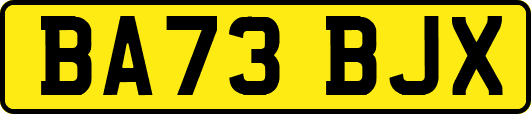 BA73BJX