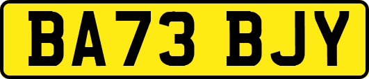 BA73BJY