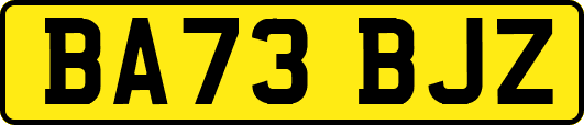 BA73BJZ