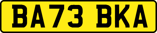 BA73BKA