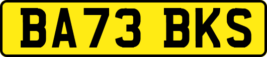 BA73BKS