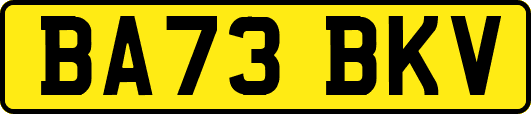 BA73BKV