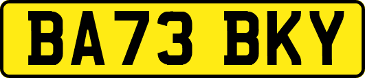 BA73BKY